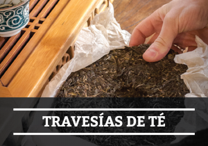 Spanish_B6 Tea