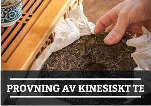Swedish_B6 Tea
