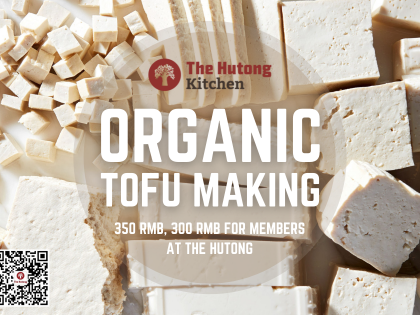 Homemade Organic Tofu